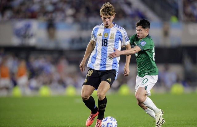 国王和森林 国王和森林